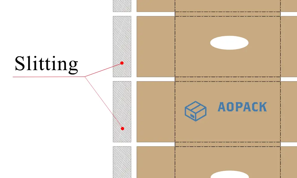 4. Corte longitudinal
